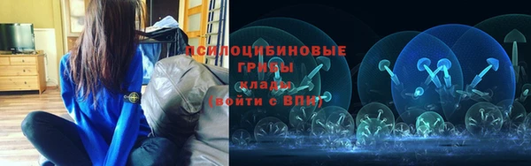 PSILOCYBIN Майский