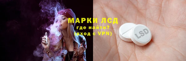 apvp Магадан