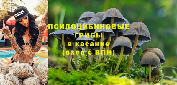 MESCALINE Магас