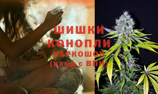 прущие грибы Ачинск