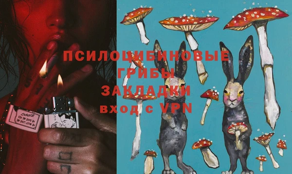 a pvp Липки