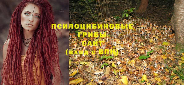 PSILOCYBIN Майский