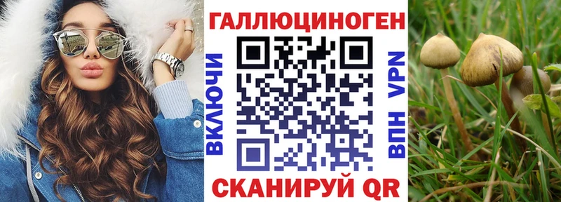 Галлюциногенные грибы мухоморы  где купить наркоту  Туапсе 