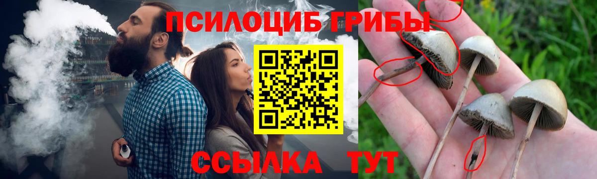 Туапсе  Псилоцибиновые грибы мухоморы  как найти закладки  Вход с VPN  Галлюциногенные грибы Magic Shrooms 